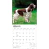 image English Springer Spaniels 2027 Wall Calendar Second Alternate Image