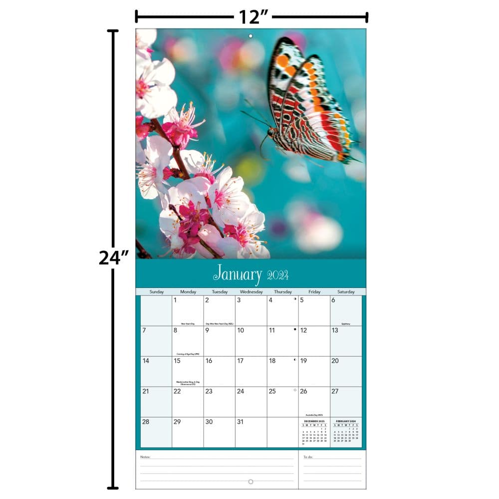 Butterflies Photo 2024 Wall Calendar Fourth Alternate 
Image width=&quot;1000&quot; height=&quot;1000&quot;