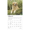 image Golden Retrievers 2025 Mini Wall Calendar Second Alternate Image