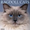 image Ragdoll Cats 2025 Wall Calendar  Main Image