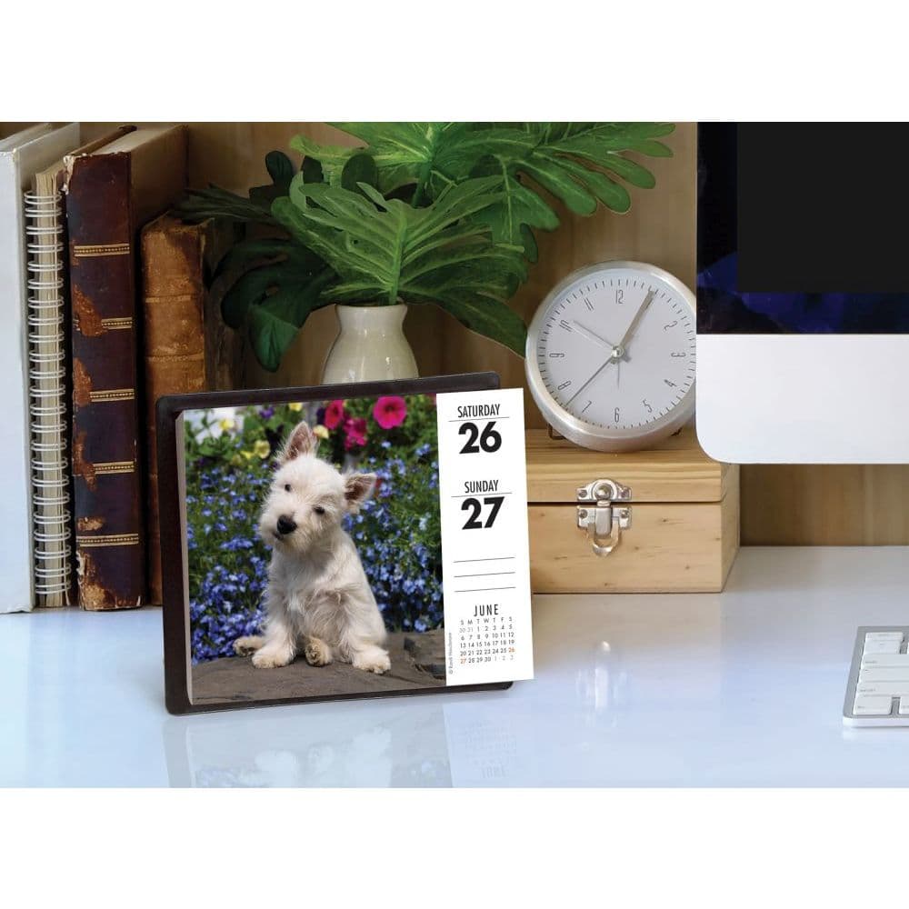 Just Westies Desk Calendar