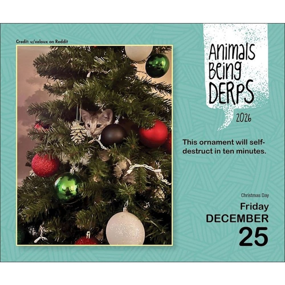 Animals Being Derps 2026 Desk Calendar Fourth Alternate Image