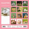 image Hamsters 2025 Wall Calendar Alt1