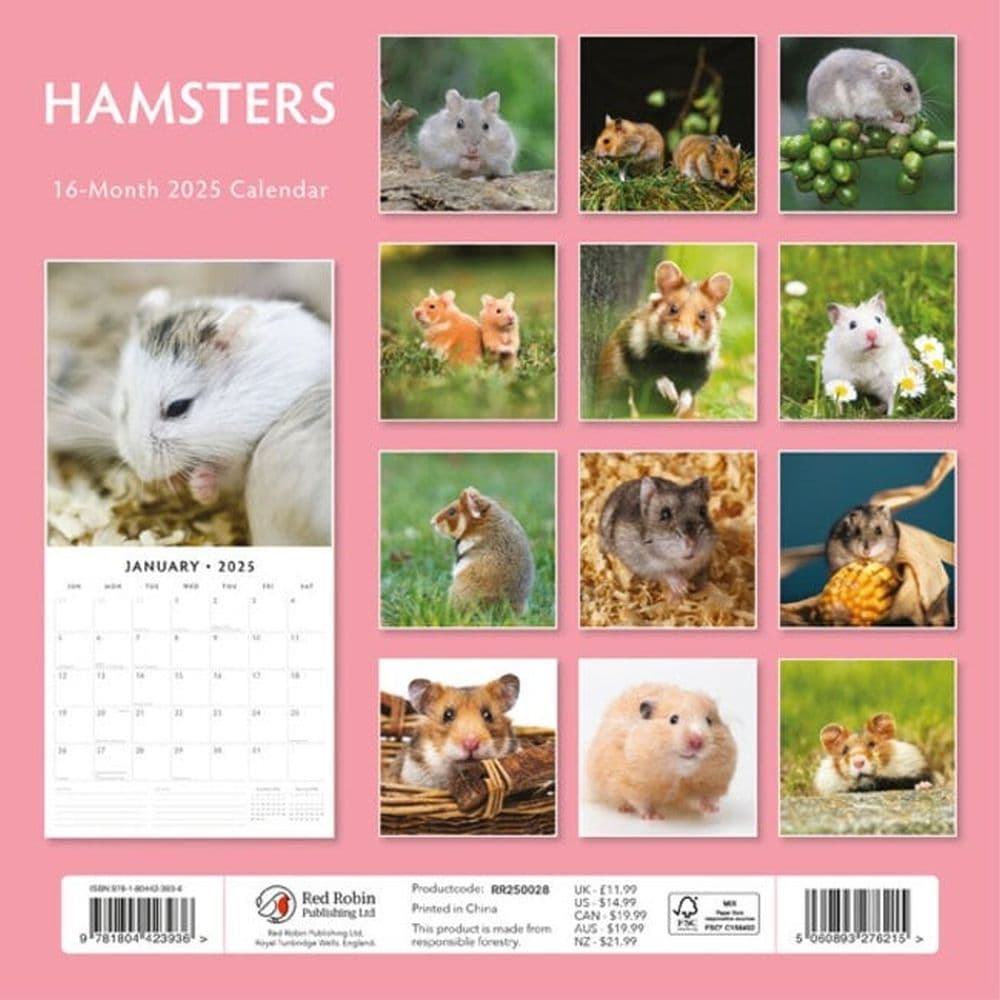 Hamsters 2025 Wall Calendar Alt1