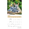 image Rabbits 2026 Wall Calendar Third Alternate Image