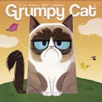 image Grumpy Cat 2027 Mini Wall Calendar Main Product Image