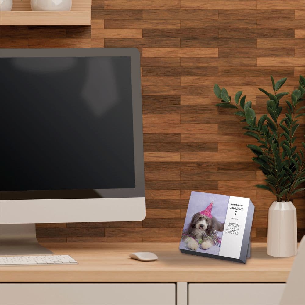 Rachael Hale Loveable Animals 2026 Desk Calendar Sixth Alternate Image