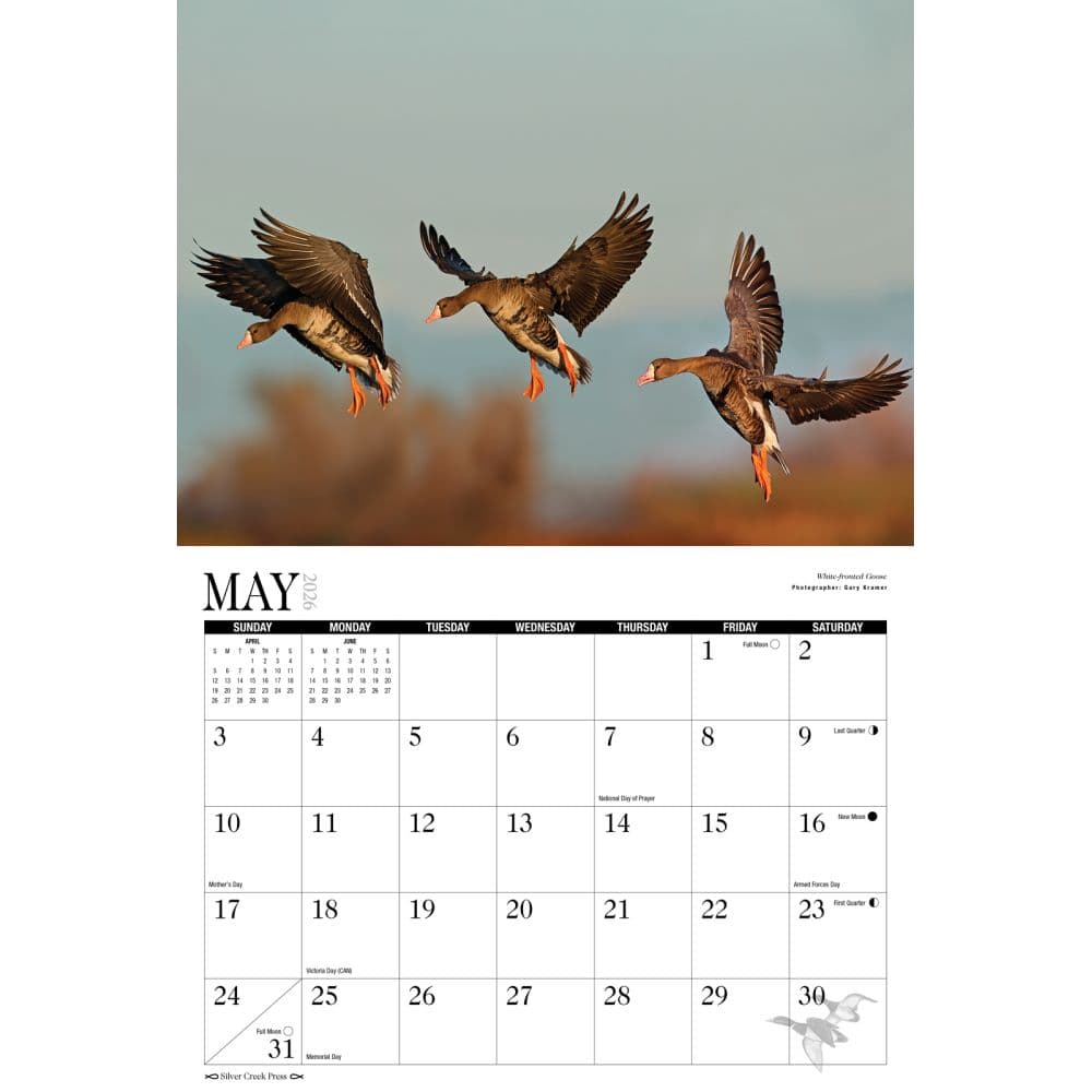 Waterfowl 2026 Wall Calendar Second Alternate Image