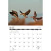 image Waterfowl 2026 Wall Calendar Second Alternate Image