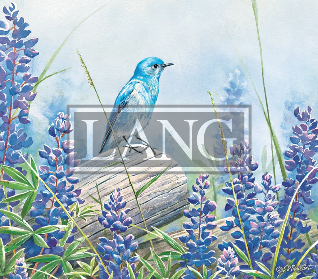 Songbirds 2021 Desktop Wallpaper - Calendars.com