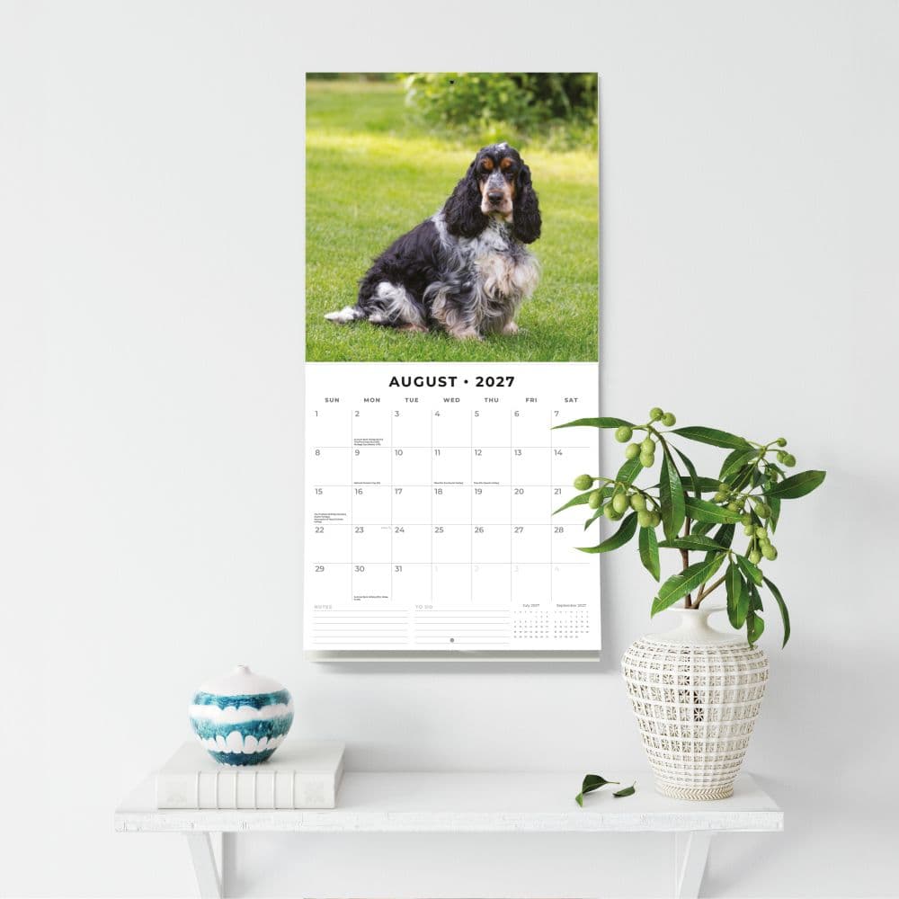 English Cocker Spaniels 2027 Wall Calendar Fifth Alternate Image