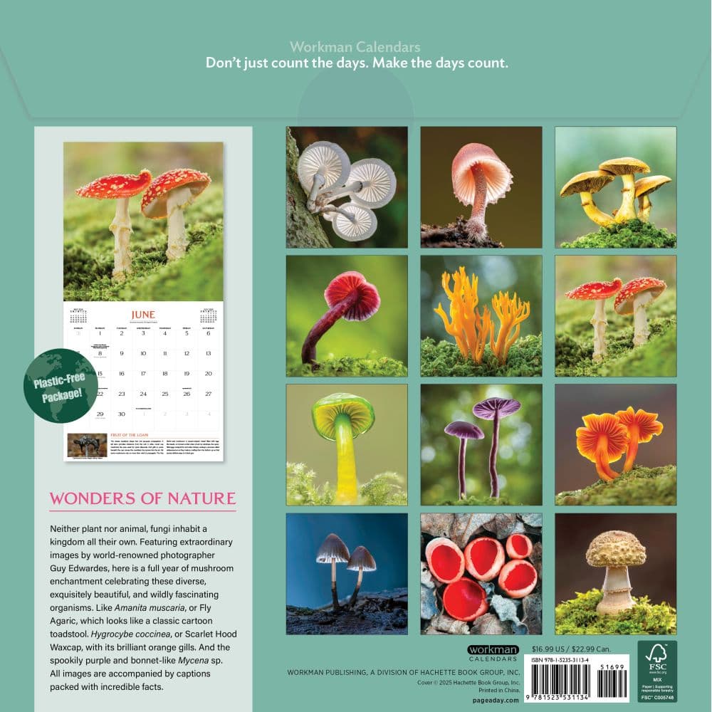 Fantastic Fungi 2026 Wall Calendar First Alternate Image