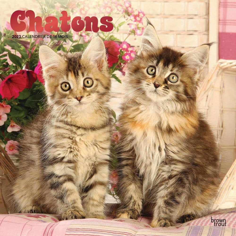 BrownTrout Chatons Kittens 2023 Wall Calendar