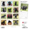 image Black Lab Retriever Puppies 2024 Wall Calendar First Alternate Image width=&quot;1000&quot; height=&quot;1000&quot;