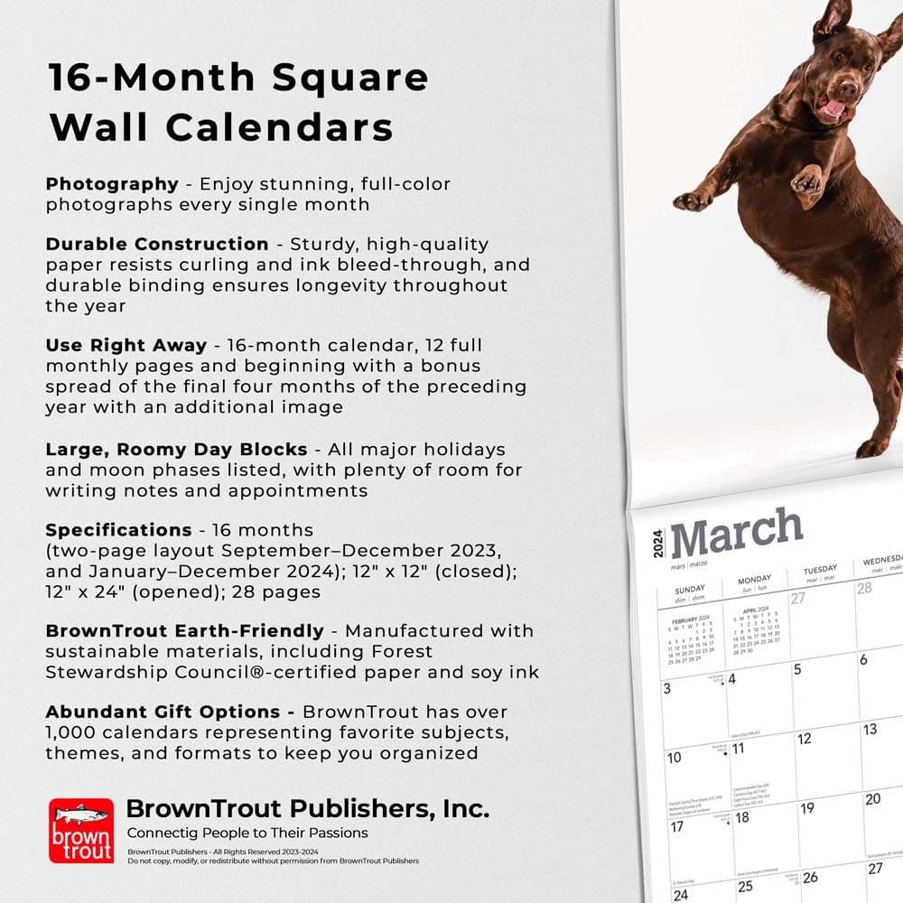 Chocolate Lab Retriever 2024 Wall Calendar Fourth Alternate Image width=&quot;1000&quot; height=&quot;1000&quot;