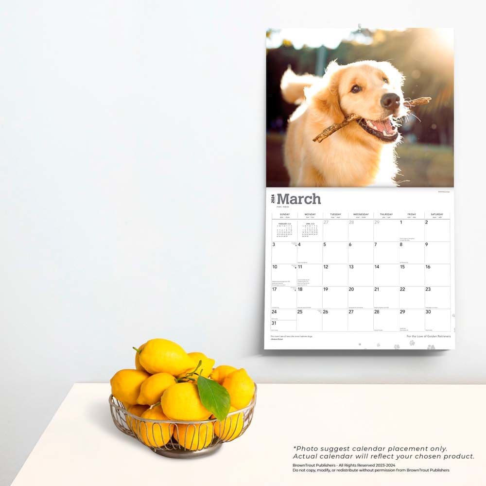 Golden Retrievers Deluxe 2024 Wall Calendar