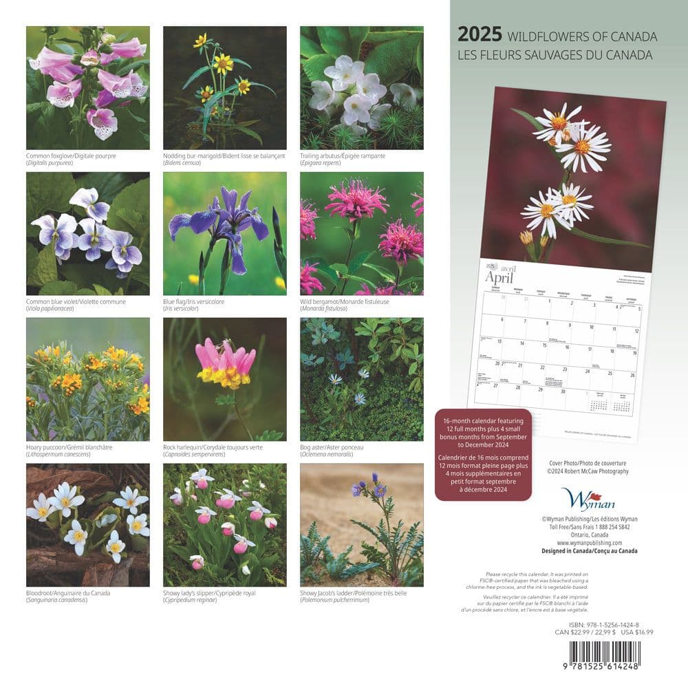 Wildflowers 2025 Wall Calendar back cover image