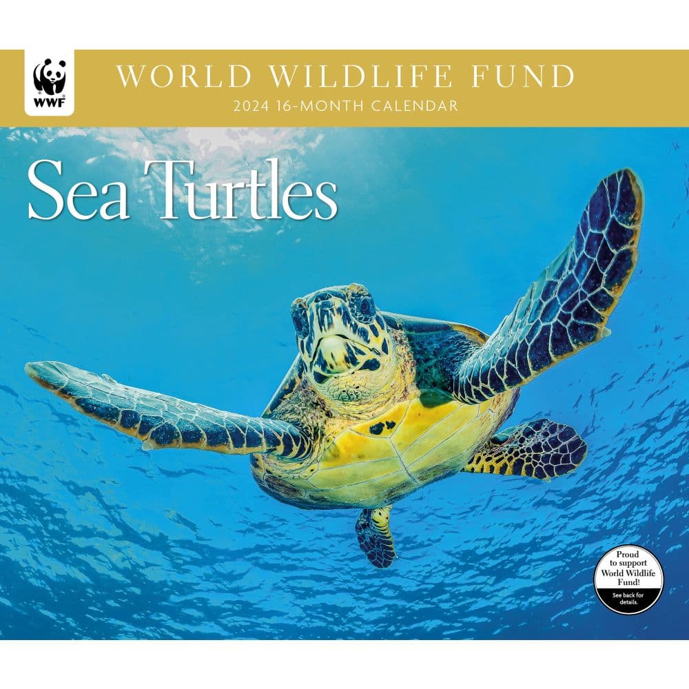 Sea Turtles WWF 2024 Wall Calendar
