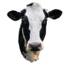image I Am Cow Mini 300pc Puzzle Alternate Image 1