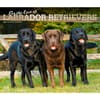 image Lab Retriever Deluxe 2025 Wall Calendar Main Image