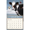 image Cows Cows Cows 2027 Wall Calendar by Lowell Herrero Second Alternate Image