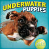 image Underwater Puppies by Seth Casteel 2024 Mini Wall Calendar Main Product Image width=&quot;1000&quot; height=&quot;1000&quot;