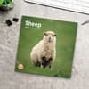 image Sheep 2025 Wall Calendar Fourth Alternate Image