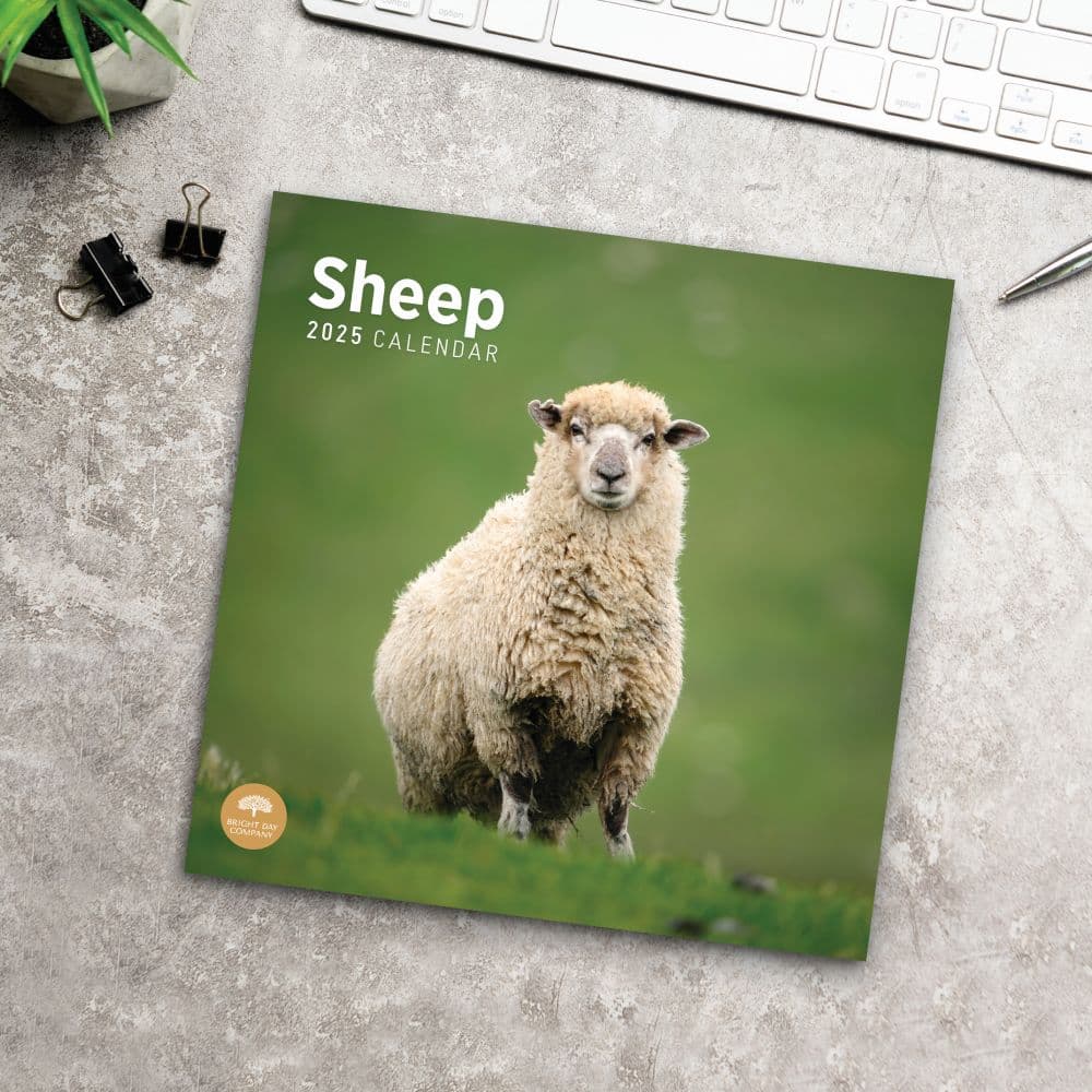 Sheep 2025 Wall Calendar Fourth Alternate Image