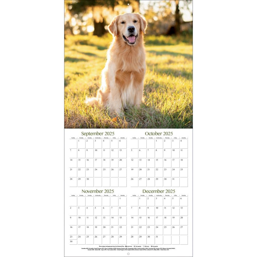 Golden Retrievers Photo 2026 Wall Calendar_ALT2