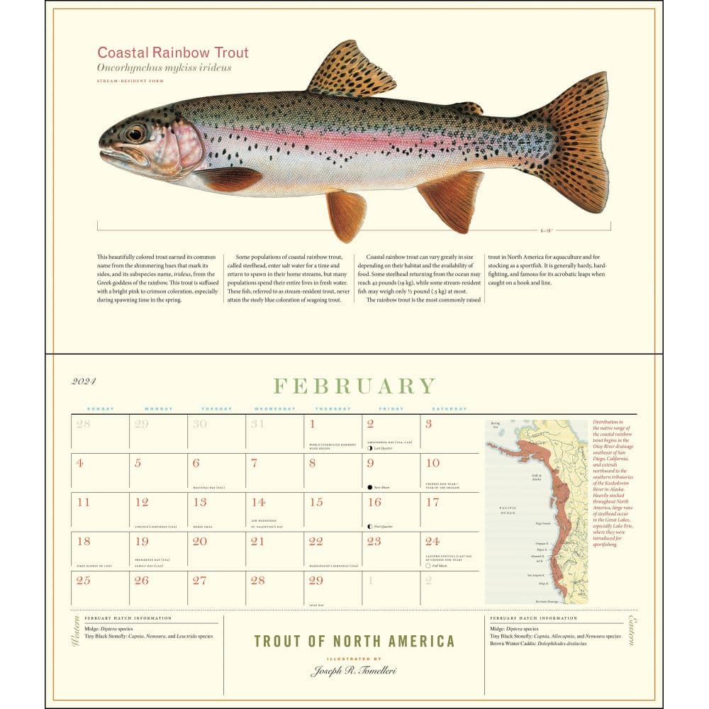 Trout of North America 2024 Wall Calendar February