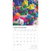 image Mercados de Mexico 2025 Wall Calendar Spanish