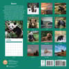 image Bears 2025 Wall Calendar First Alternate Image width=&quot;1000&quot; height=&quot;1000&quot;