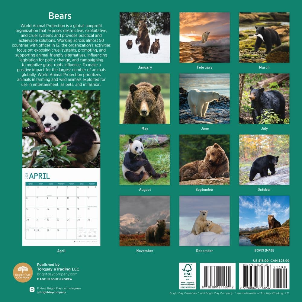 Bears 2025 Wall Calendar First Alternate Image width=&quot;1000&quot; height=&quot;1000&quot;