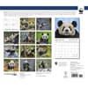 image Giant Pandas WWF 2024 Wall Calendar Alternate Image 1
