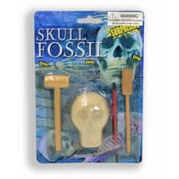 image Skull Fossil Dig Kit Excavation Toy Main Product Image