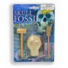 image Skull Fossil Dig Kit Excavation Toy Main Product Image