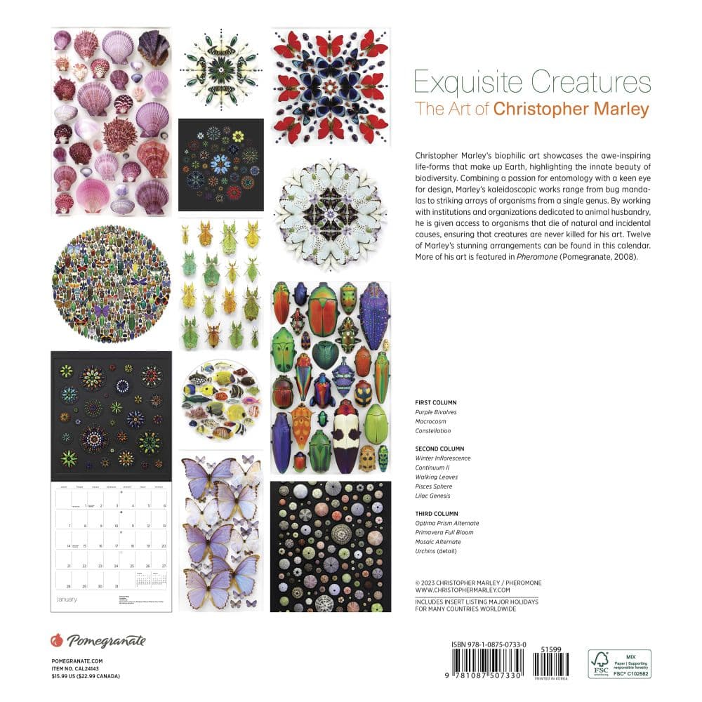 Exquisite Creatures 2024 Wall Calendar