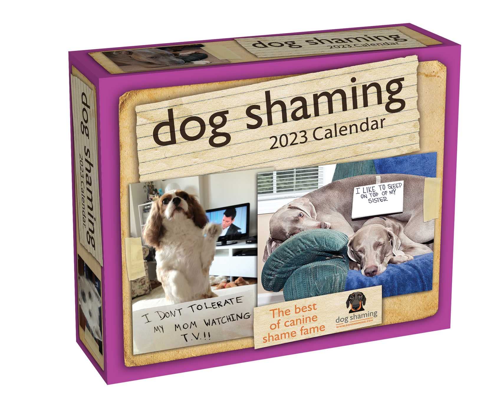 Dog Shaming 2023 Day to Day Calendar Calendars