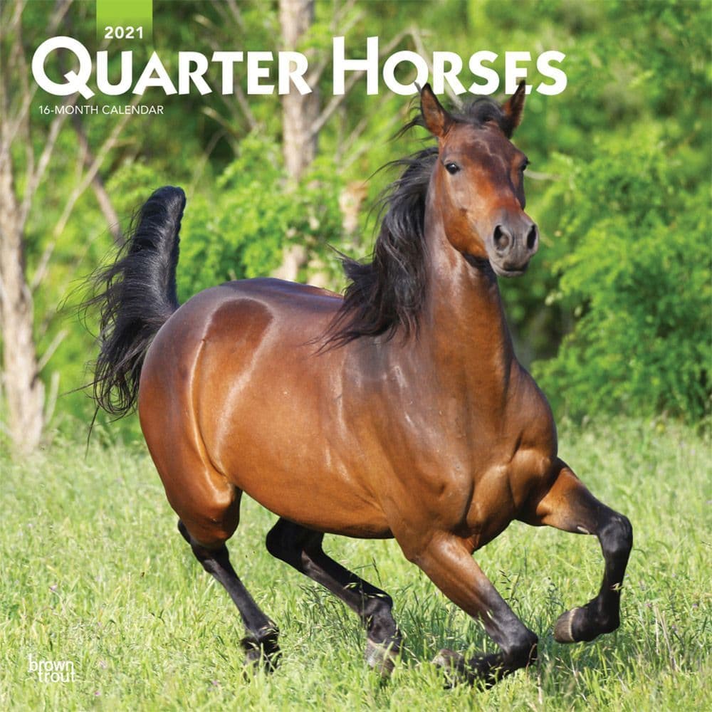 Quarter Horses Wall Calendar
