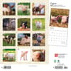 image Piglets 2024 Wall Calendar First Alternate Image width=&quot;1000&quot; height=&quot;1000&quot;
