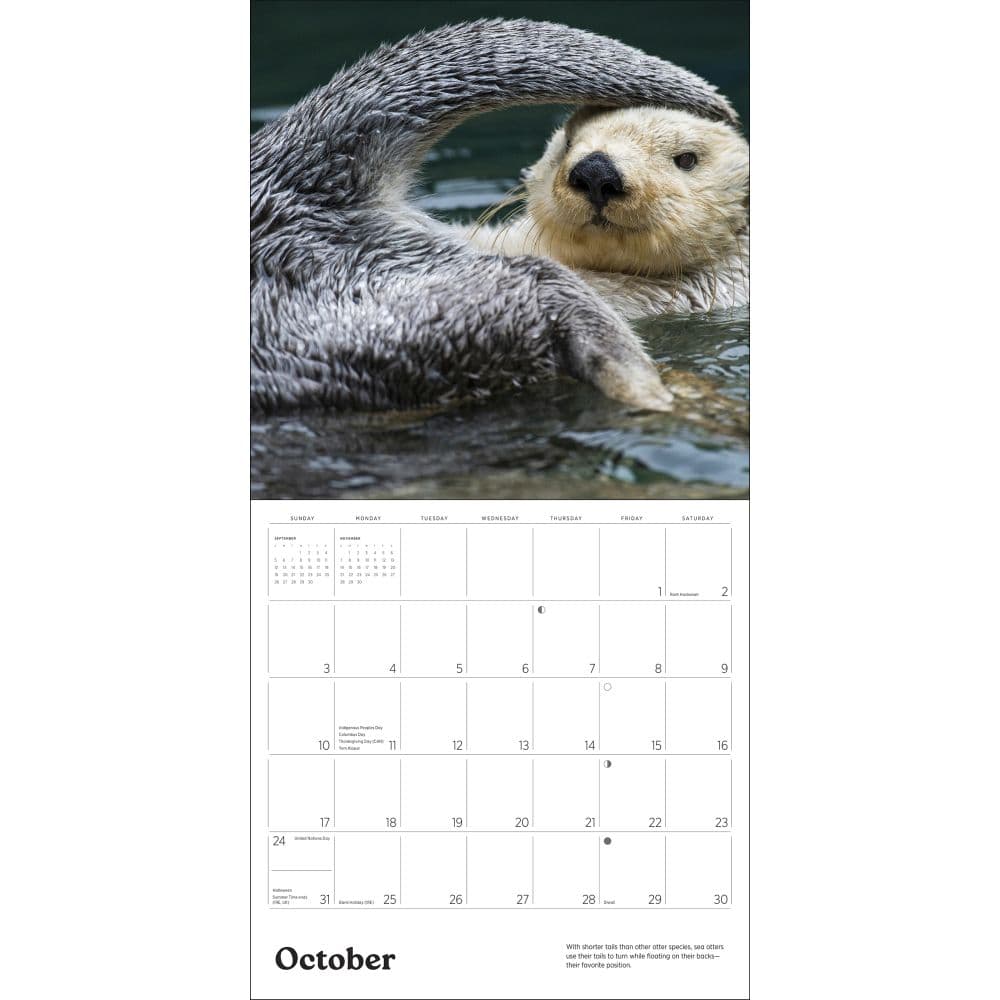 Sea Otters 2027 Wall Calendar Third Alternate Image