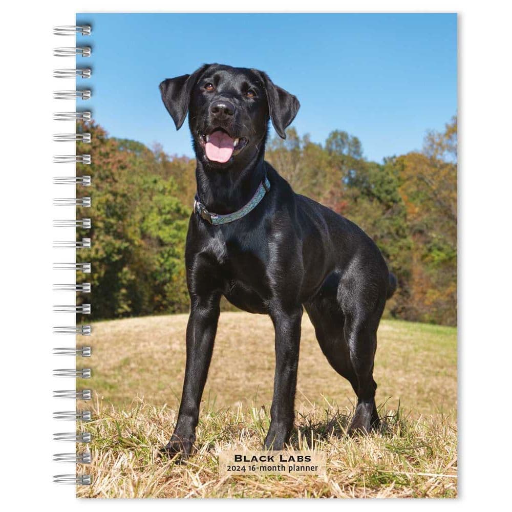 Black Labrador Retrievers 2024 Planner Main Product Image width=&quot;1000&quot; height=&quot;1000&quot;