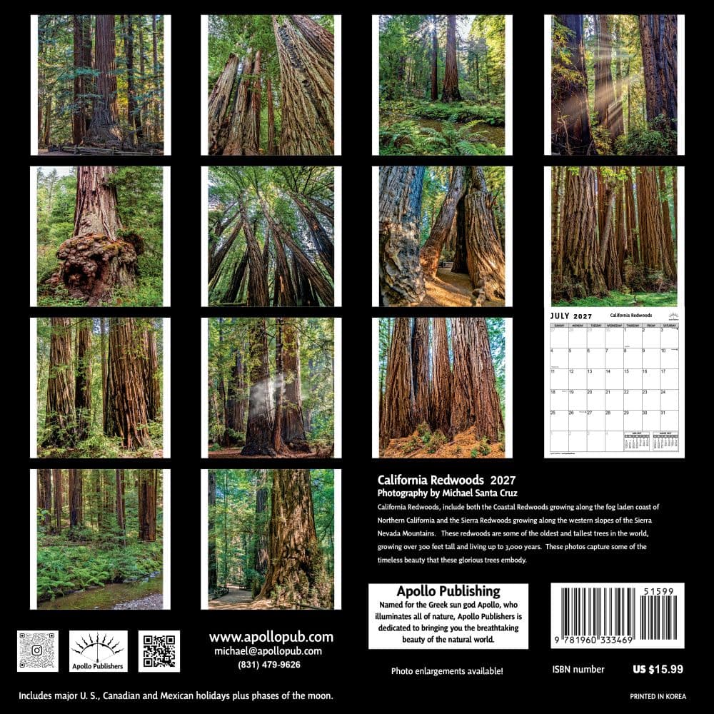 California Redwoods 2027 Wall Calendar First Alternate Image