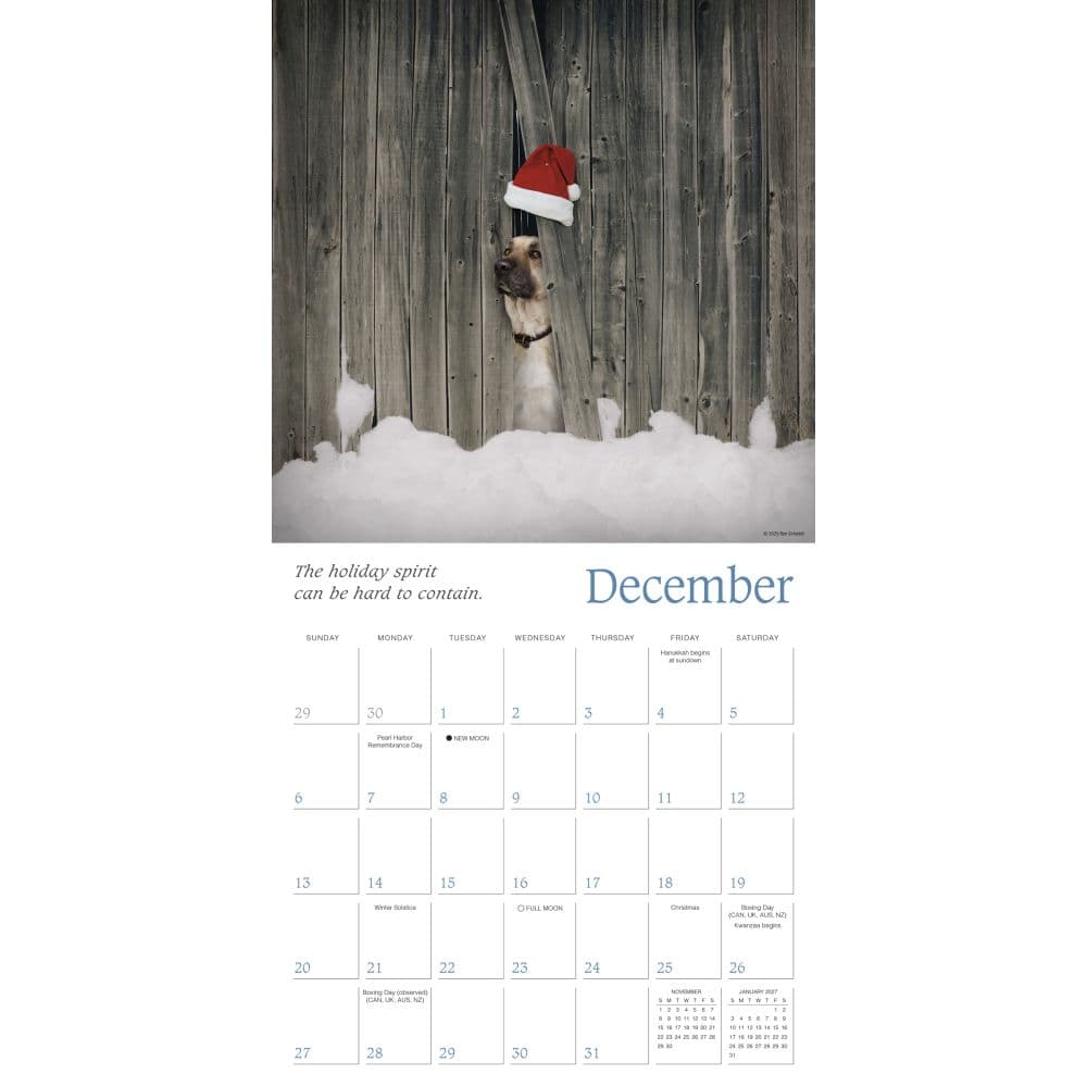 Dogma 2026 Wall Calendar Third Alternate Image