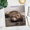 image Ferrets 2025 Wall Calendar Alt5