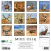 image Mule Deer 2026 Wall Calendar First Alternate Image