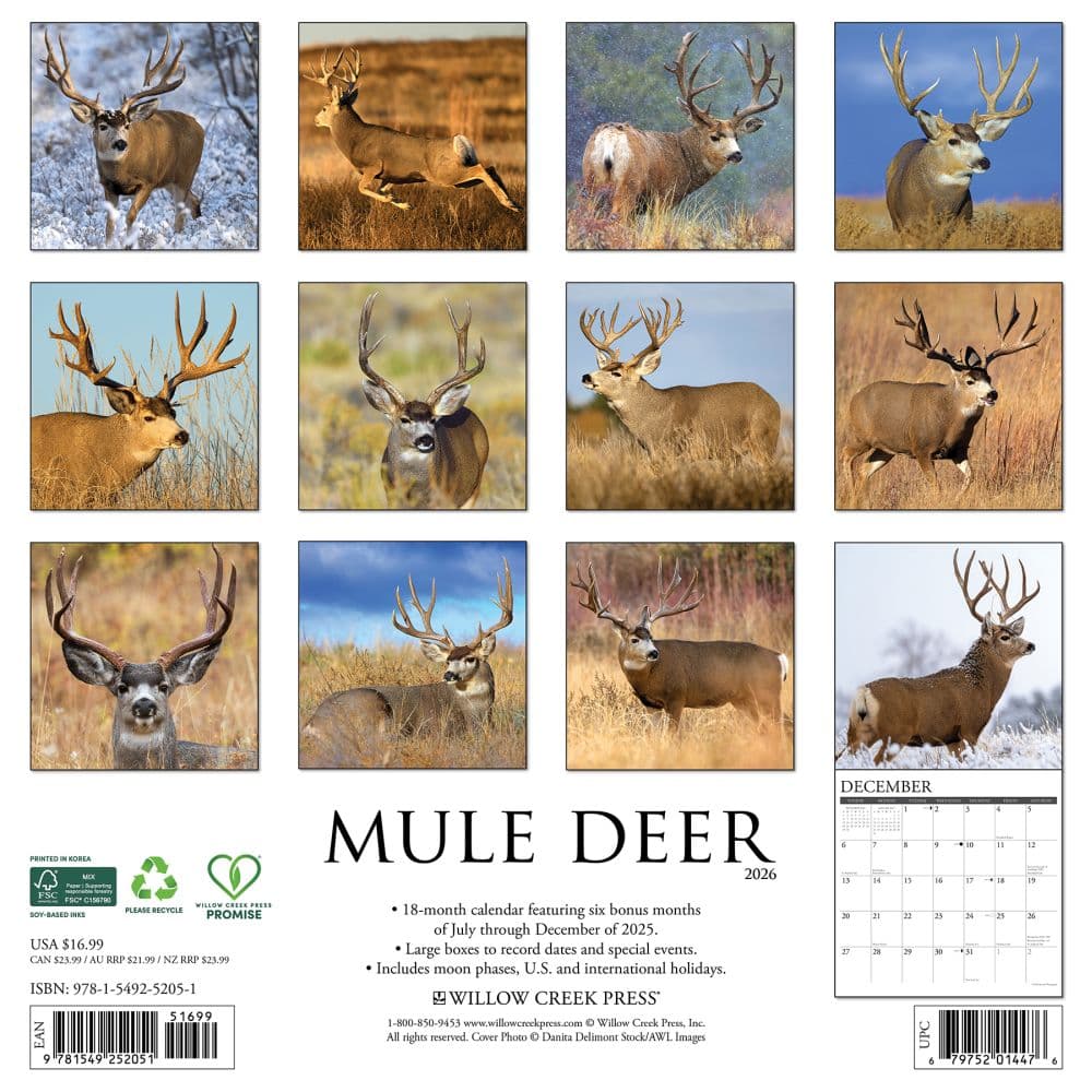 Mule Deer 2026 Wall Calendar First Alternate Image