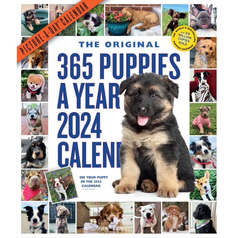 Puppies 365 Days 2024 Wall Calendar Main Image