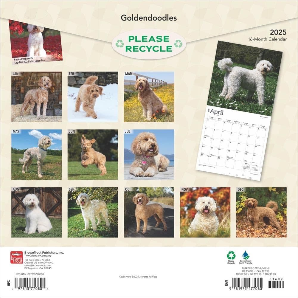 Goldendoodles 2025 Wall Calendar First Alternate Image