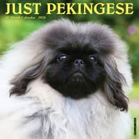 image Pekingese Just 2026 Wall Calendar Main Product Image